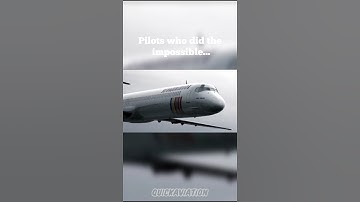 Pilots who did the impossible... part 2 #airplane #plane #aircraft #aviation #edit #viral #fyp #fypシ