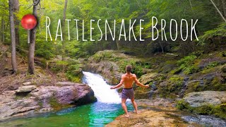 I Found Paradise In New England | Rattlesnake Brook Blueberry Mountain