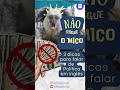 Não pague o mico: Falando de política em inglês