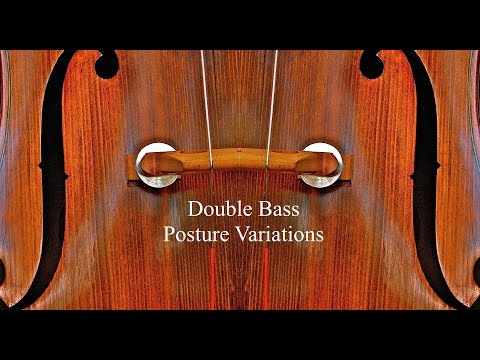Double Bass Posture Variations