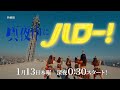木ドラ24「真夜中にハロー!」予告映像|2022年1月13日放送スタート!|テレビ東京