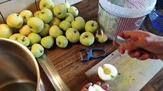 Apfelkompott - Apfelmus selber machen Rezept - Äpfel einmachen - Bernards Kochkanal