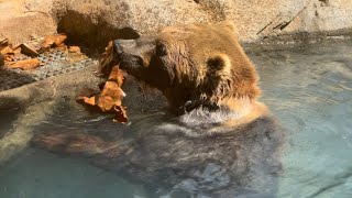 Riverbanks Zoo + Pawleys Front Porch