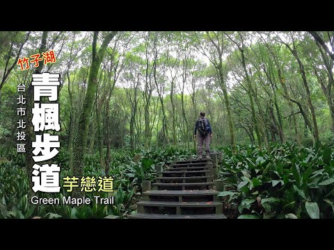 腫瘤拖7年！苦苓寫好遺囑「55坪房產全給小10歲妻」，買10份保險：願她漂亮又有錢！