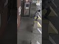 Surveillance video from deadly shooting during a shoplifting attempt