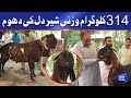 Eid ul Azha 2021 | Gujranwala ka sab sey Khobsurat Bakra | Most expensive animal for Qurbani