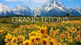 Instrumental Acoustic Indie/Folk Playlist, Chill Music \