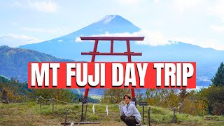 Famous What to do around Mt Fuji with Japanese Local Guide Net Worth