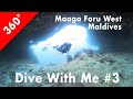 [360°] Dive With Me #3: Maaga Faru West, Maldives (2024-01-15)