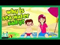 WHY IS SEA WATER SALTY?