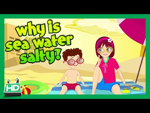 WHY IS SEA WATER SALTY?