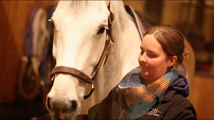 Meet the Staff at Chris Delia Stables