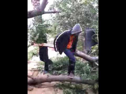 قشر البندق ناصر ابوشعيب وشعيب