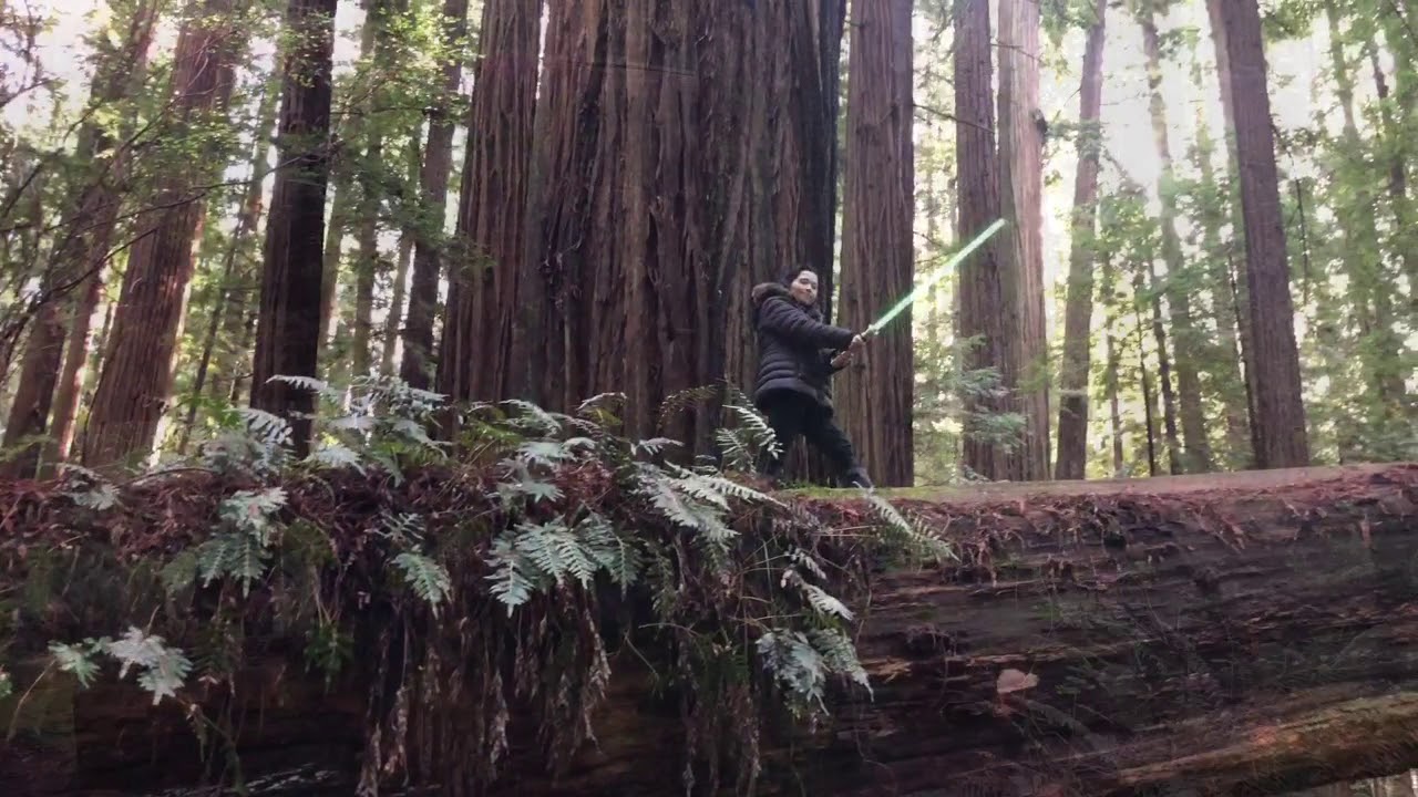 Star Wars Filming Location in 2020-Endor Moon (Cheatham Grove)