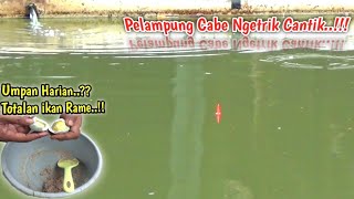 Lihat PELAMPUNG Ngetriknya Berasa Tiket Sejuta||Ngeulik Umpan Ikan Mas Harian√