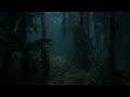 8 HOURS Rainforest Sounds for Deep Sleep | Relaxing Nature Sounds, Night Ambience, Fall Asleep Fast