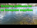 Осенняя рыбалка на не большом водоеме. Rapala X-Rap 100 SP