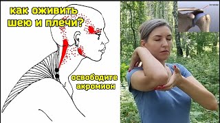 Беспокоят Шея И Плечи? Убаюкайте Плечо, Включите Свой Акромион