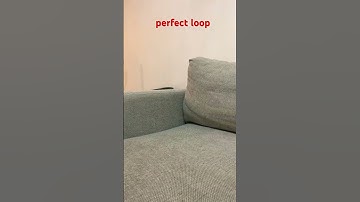 perfect loop pls sub #subscribe #shorts #perfectloop