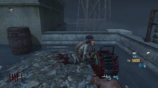 Call of Duty: Black Ops II motd lag