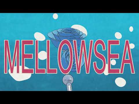 SaladBowl - MELLOWSEA