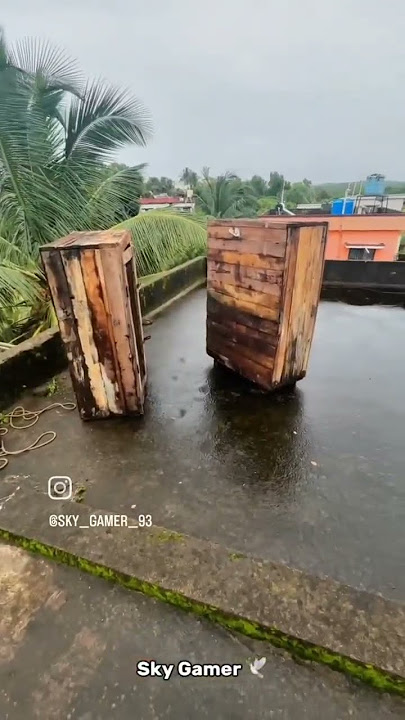 Come Back Parava Loaft🕊️🔥💥 #pigeon #populerpigeon #bird #mrbeast #pigeonlaver #birdspecies