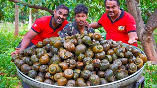 Healthy Snail curry | Nathai curry | World Food Tube