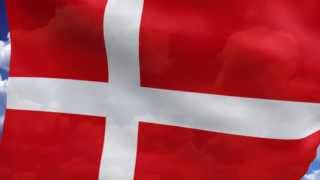 Video thumbnail of "Danish Birthday Song (My Version)"