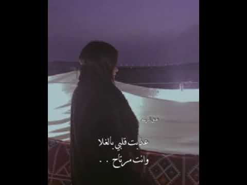 شيلة يامشغلن بالي بدون حقوق