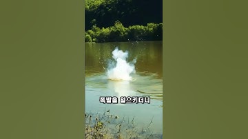 금속 나트륨 + 물 = ?