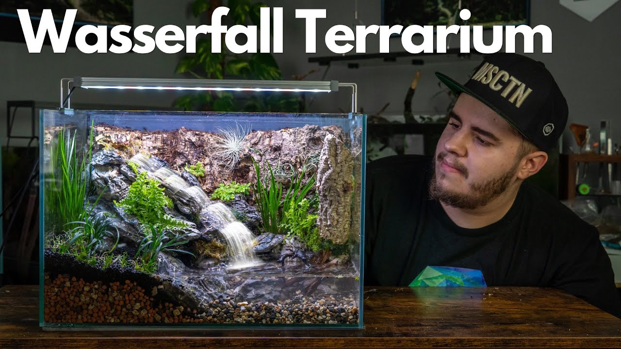 Mini Wasserfall Terrarium!