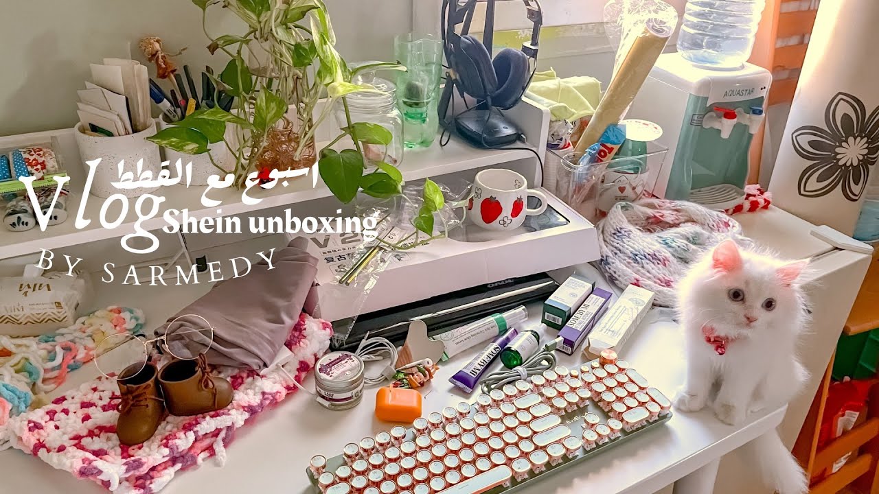 فلوق تبني قطه 🐈 ايجابيات وسلبيات تربيه القطط ￼🎀 انبوكسنق شي ان week with cat shein unboxing 📦