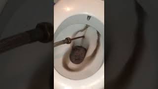 İzmir Petek Temizliği 0 505 351 20 68