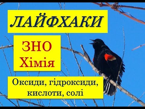 ЛАЙФХАКИ ДЛЯ ЗНО