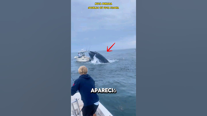 SHOCKING FISHING: Giant whale destroys boat!
