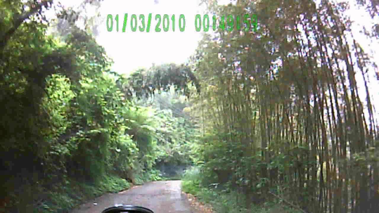苗栗南庄鹿場加里山部份路程 Mountain Climbing Downhill Youtube