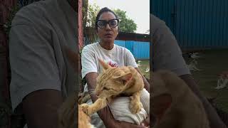 can help to build their home. 🙏 #cat #catshala #catsofinstagram #cats #cats_of_instagram