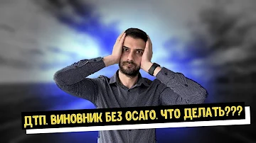ДТП! Виновник без ОСАГО! Как получить деньги!