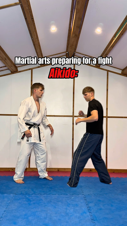 Martial arts preparing for a fight…😂
