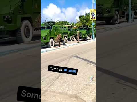 Somaliarmy Danab Gorgor Haramcad Somaliweyn Wiilsomali11 Subscribe 2024