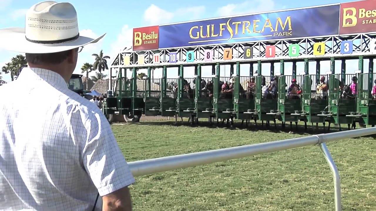 horse racing news ABR Racing 101: Starter