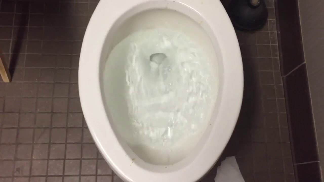 1,477. Rite Aid Women's Restroom YouTube