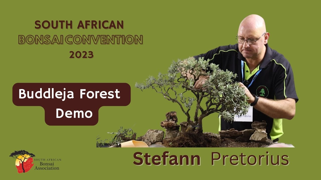 Stefann Pretorius Buddleja Forest Demo 2023
