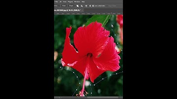 change colour in realistic way to any picture in photoshop