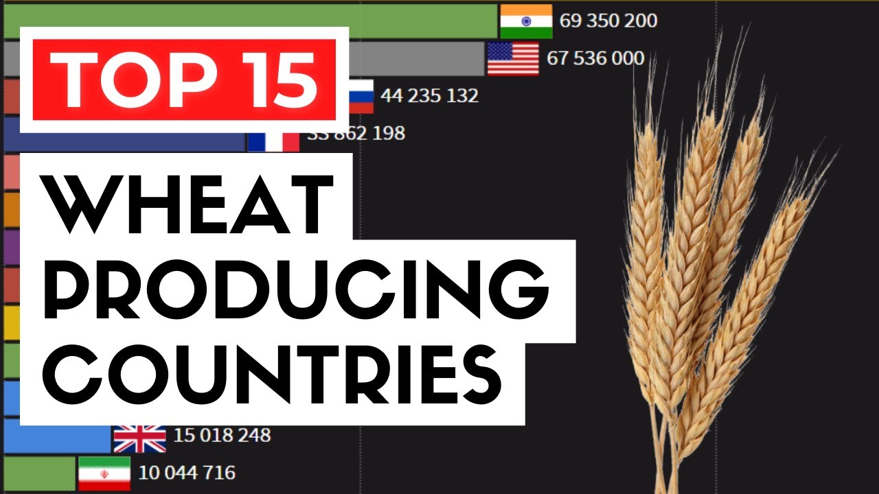 Top 15 Wheat Producing Countries (1960-2019)
