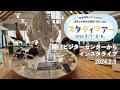 2024年2月3日 知床道東スタディツアー インスタライブ 羅臼ビジターセンターより