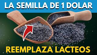 🌱 La SEMILLA de $1 que tiene MÁS CALCIO que la leche y el queso 🥛🧀