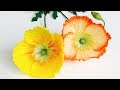 ABC TV | How To Make Poppy Paper Flower From Crepe Paper - Craft Tutorial