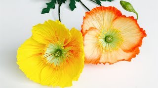 ABC TV | How To Make Poppy Paper Flower From Crepe Paper - Craft Tutorial