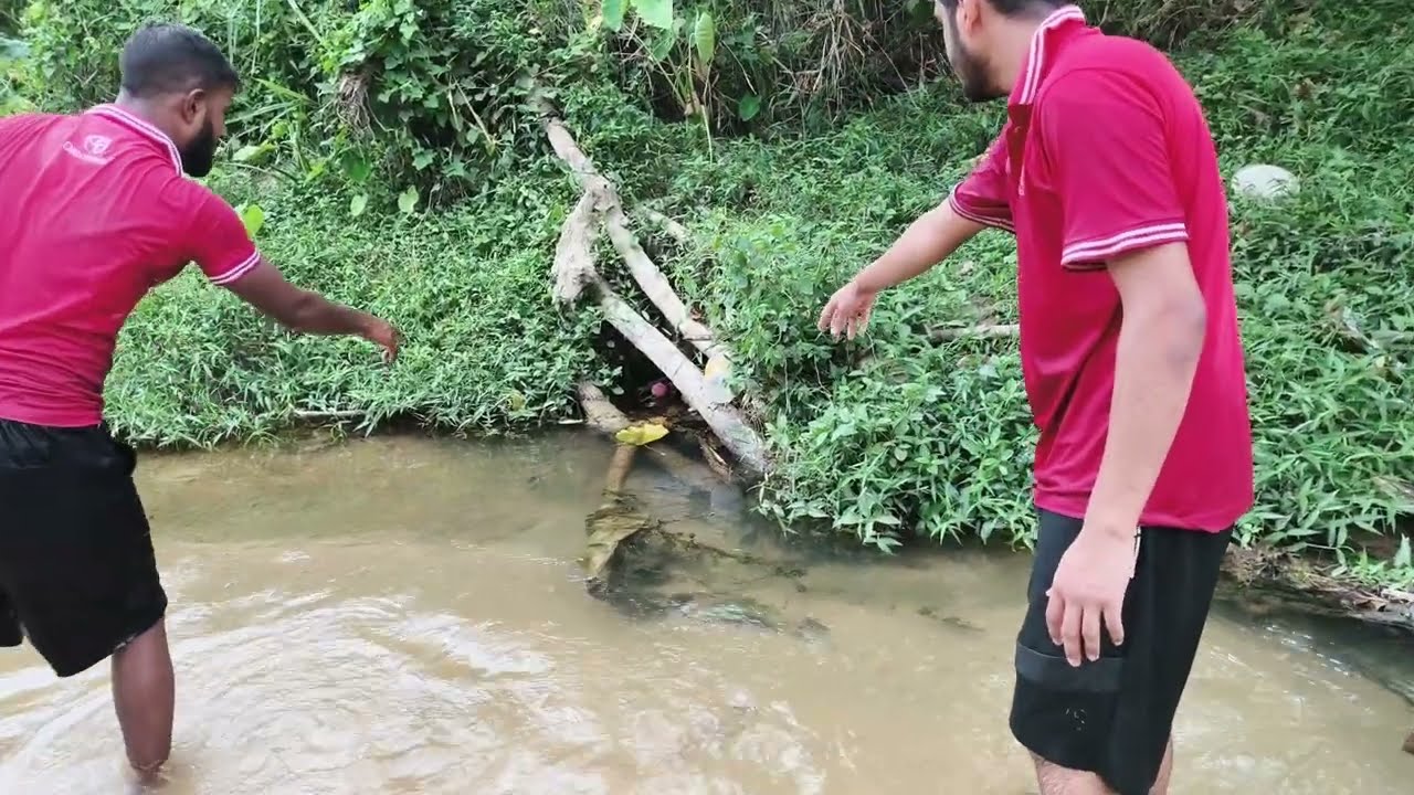 মালেশিয়াতে তিন বন্ধু মিলে কিবাবে মাছ ধরে দেখুন,watch how three friends catch fish in Malaysia. 